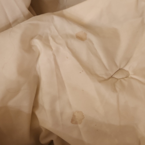 Austin Horn Collection Comforter Set - Picture 9 of 15